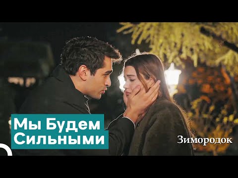 Видео: Единственное Утешение Сейран — Ферит | Зимородок