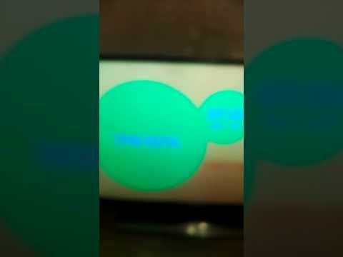 Видео: карусель сошёл с ума