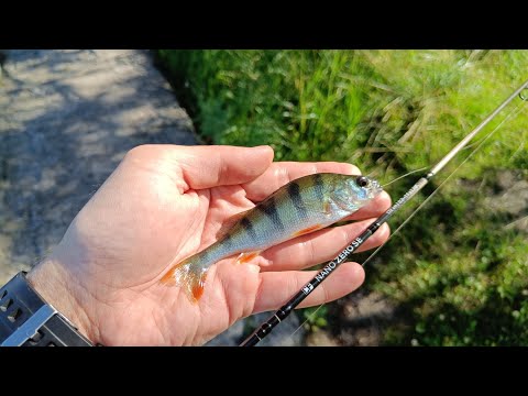 Видео: МОРМЫШИНГ с БЕЛКАМИ на Воронежском водохранилище!!!