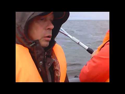 Видео: троллинг на озере Белом,ловим судака