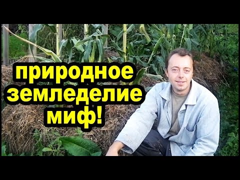 Видео: Природного земледелия не существует!