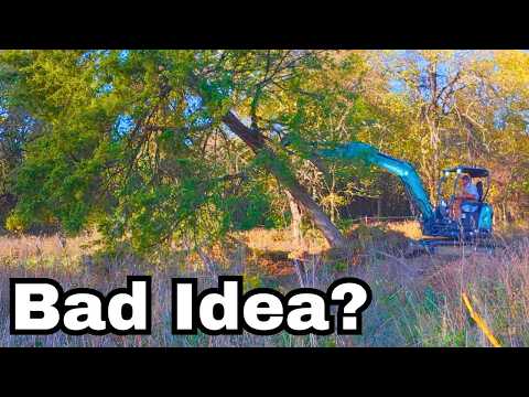 Видео: Посмотрите это, прежде чем пытаться свалить дерево с помощью мини-экскаватора