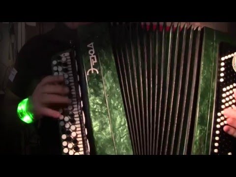 Видео: если гармонь, баян рипит, - как чинить в домашних условиях   ( ремонт в Германии )