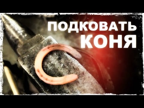 Видео: Галилео. Подковать коня