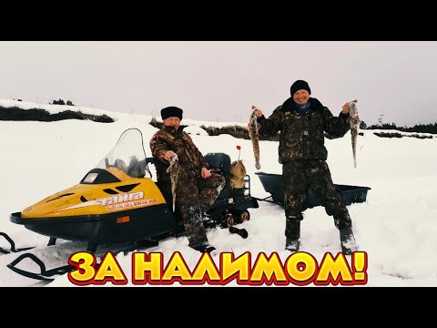 Видео: ПРОВЕРЯЕМ СНАСТИ НА НАЛИМА.ВЫСТАВЛЯЕМ ЖЕРЛИЦЫ.