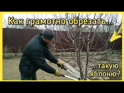 Видео: Обрезка ЯБЛОНИ ЗАПУЩЕННОЙ, или как обрезать яблоню 5 ЛЕТ?