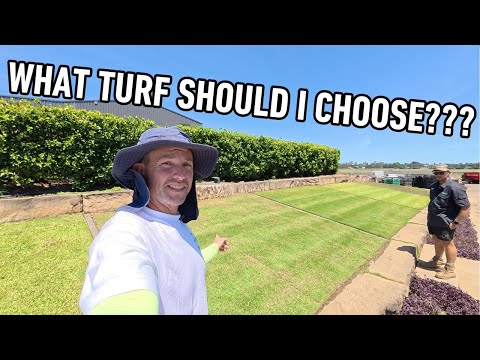 Видео: Какой газон выбрать для дома? Давайте посетим нашу газонную ферму!