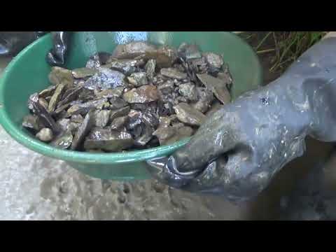 Видео: Нашёл золотоносный ручей, добыл из него Золото!