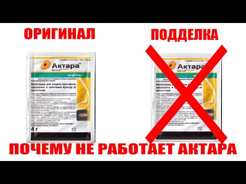 Видео: Препарат АКТАРА—почему не работает?