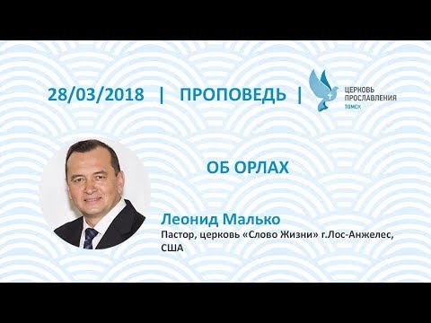 Видео: Леонид Малько 28 марта 2018г. Об орлах.