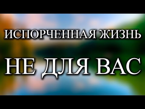 Видео: После этого видео вы не сможете жить плохо - Роберт Адамс