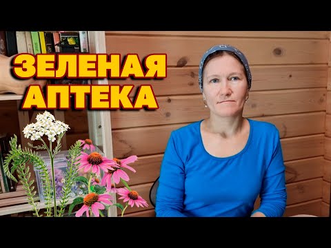 Видео: КАКИЕ СЕМЕНА ДЛЯ ЗДОРОВЬЯ ВЫРАСТИТЬ В САДУ ЛЕКАРСТВЕННЫЕ ТРАВЫ @obovsemsmarusya