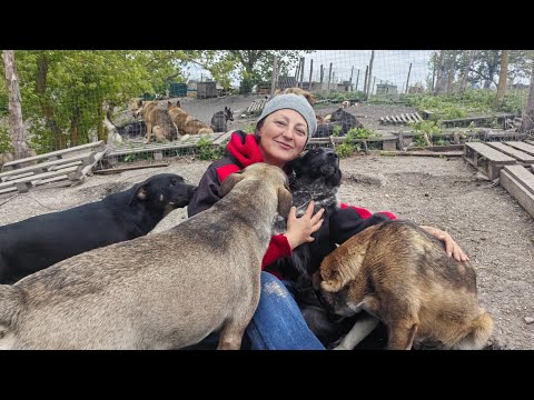 Видео: У нас пополнение.