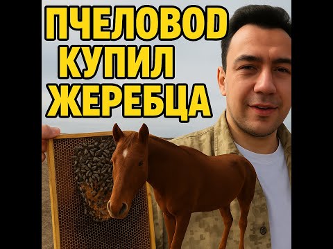 Видео: Пчелы! Пчеловодный сезон 2025!