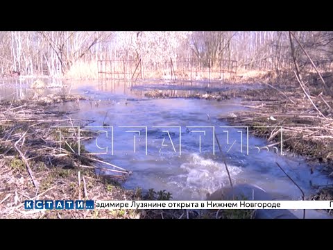 Видео: Канализационные стоки в Балахнинском районе без очистки сливают в речку Трестьяну, а оттуда в Волгу