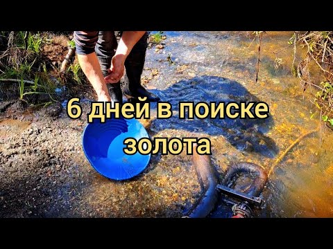 Видео: 6 дней в поиске золота