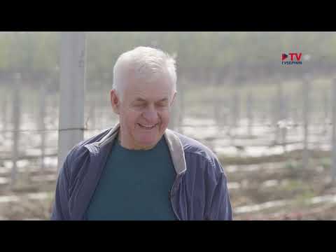 Видео: Большие истории малой Родины: Верхнемамонский район