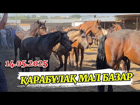 Видео: ЖЫЛҚЫ БАЗАР / ҚАРАБҰЛАҚ