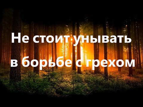 Видео: Почему Господь попускает иногда долгое время бороться со страстью с переменным успехом?