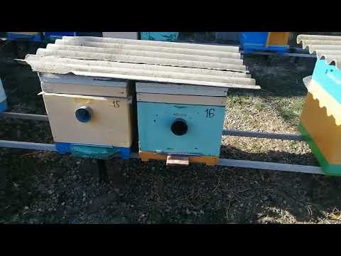 Видео: Для меня это лучший вариант Подставки под Улей для Стационара