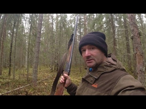 Видео: Редкое событие: Охота на глухаря с подхода. Неожиданный результат!