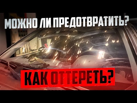Видео: Как и чем очистить лобовое стекло от насекомых?