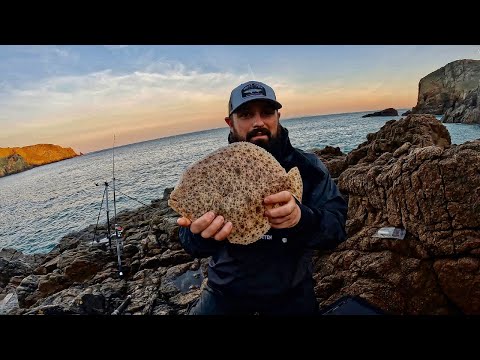 Видео: Как поймать тюрбо с берега — Beach Fishing UK — Shore Fishing UK