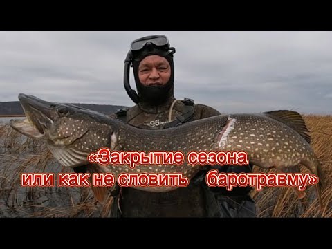 Видео: «Закрытие сезона или как не словить баротравму» фильм N13 подводная охота сезон 2023 