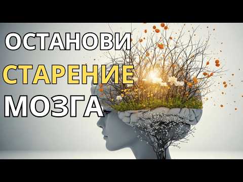 Видео: Останови старение мозга!