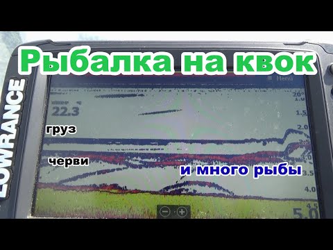 Видео: Рыбалка на сома. приманка и подъёмы на эхолоте лоуранс. квок , спиннинг.