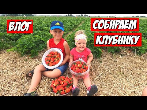 Видео: Жизнь в Германии | Собираем Клубнику в Поле у Бауэра |  Семейный влог из Германии