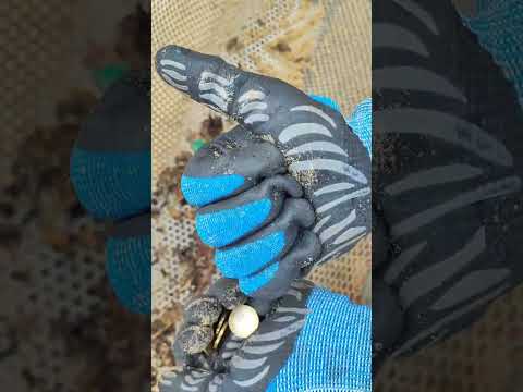 Видео: Весь пляж в золоте,монетах и мусоре ЧИСТКА ПЛЯЖА ОТ МУСОРА