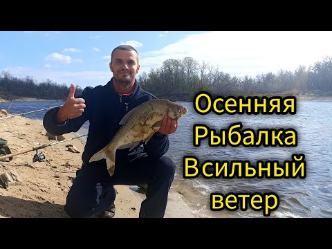 Видео: ОСЕННЯЯ РЫБАЛКА В СИЛЬНЫЙ ВЕТЕР!!!