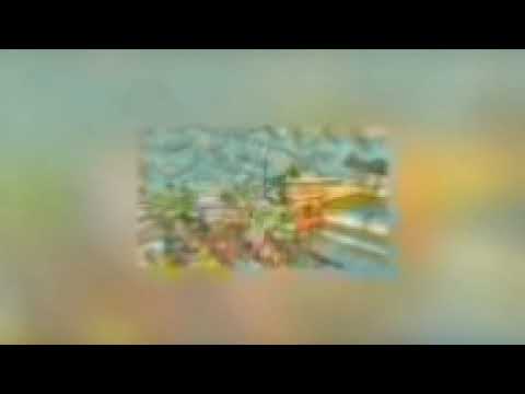 Видео: [Глобальный Лорд 100% шанс выпадения] главы 61-120 Альтернативный сюжет Глобальный Лорд