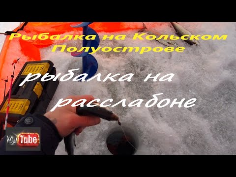 Видео: Рыбалка на Кольском Полуострове. Ловля сига на озере Имандра.