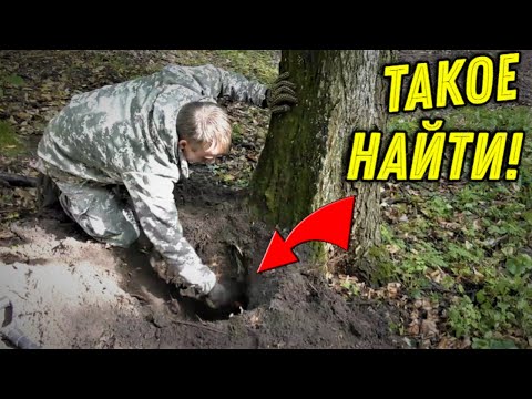 Видео: Абалденная НАХОДКА в КОРНЯХ старого ДЕРЕВА Порадовала нас, ПОЧАЩЕ бы так ВЕЗЛО на КОПЕ!!!