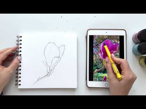 Видео: МК гуашью Pinax 💜 Рисуем магнолию