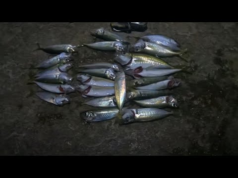 Видео: Ночная рыбалка в Ялте. Мормышинг на Черном море .