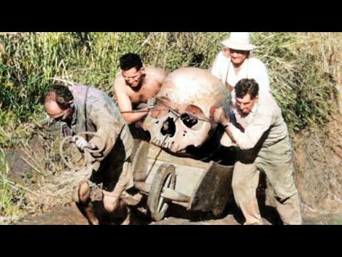 Видео: 😱 Белорусский ВЕЛИКАН-ФЁДОР❗Самый ОГРОМНЫЙ ЧЕЛОВЕК на Земле