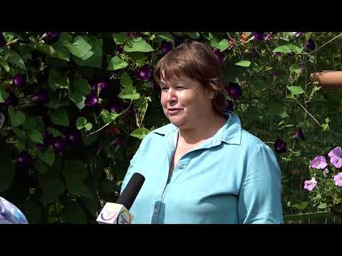 Видео: Эустомы Марины Дидовец