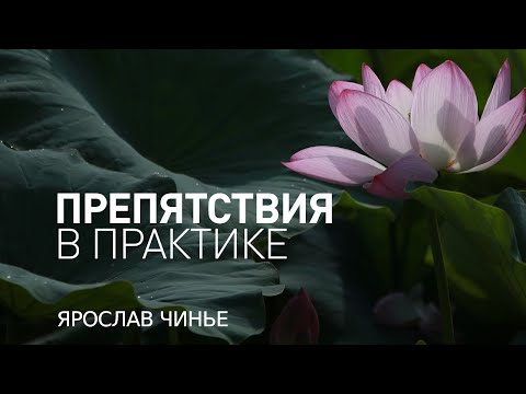 Видео: Майндфулнесс. Практика осознанности. Препятствия в практике.