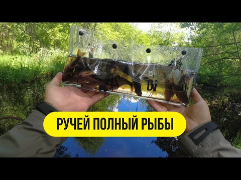 Видео: #мормышинг | Нашёл ручей полный рыбы | Безмотылка, силикон |