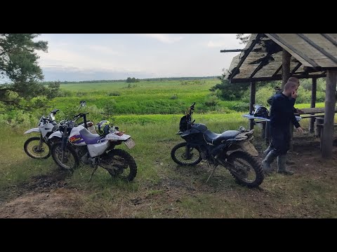 Видео: Эндуро выезд по тверским дорогам - возвращение через лес и болото