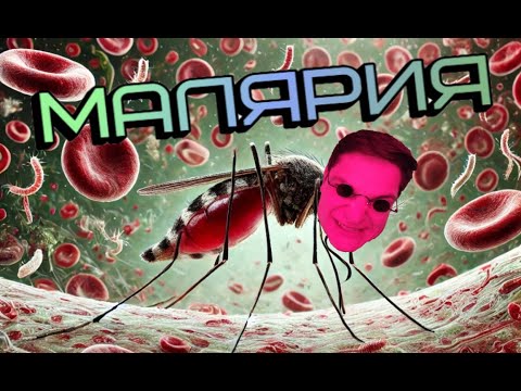 Видео: МАЛЯРИЯ. История, жизненный цикл, разновидности, диагностика и лечение. В конце - БОНУС!