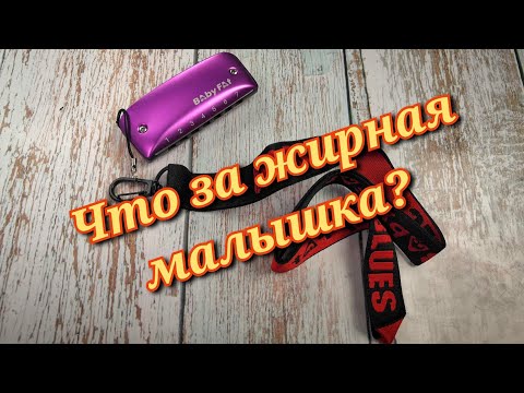 Видео: Обзор "Baby fat" Kongsheng.