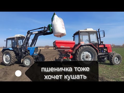 Видео: Подкормка пшеницы озимой и ячменя 2025!!!
