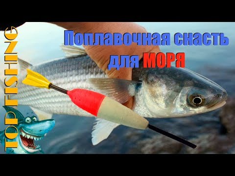 Видео: Ловля с берега на море. Поплавочная снасть. TOP FISHING