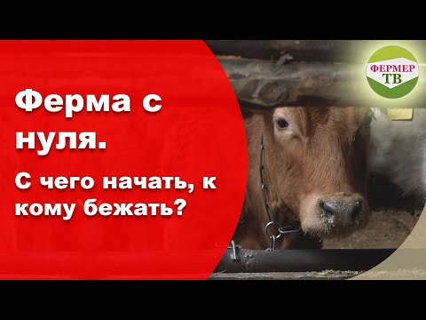 Видео: Ферма с нуля. С чего начать, к кому бежать?