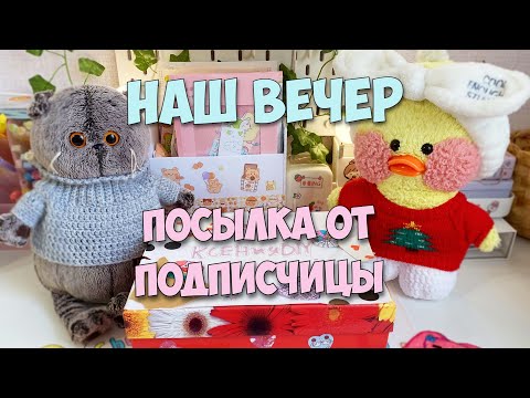 Видео: ВЕЧЕР С МИЛКОЙ И БАСИКОМ! Открываем посылку от подписчицы!