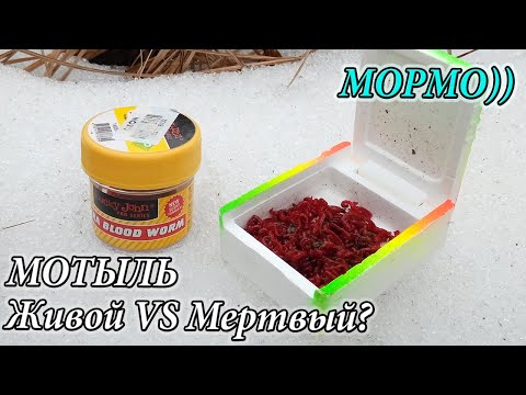 Видео: МОРМЫШИНГ с Живым и Искусственным Мотылем. Эххх хвост чешуя, не поймал я ... ничего ((